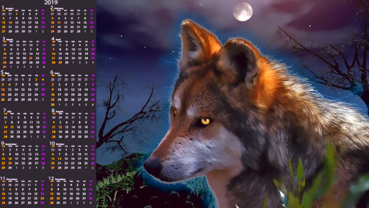 1475642 (a): :1920x1080